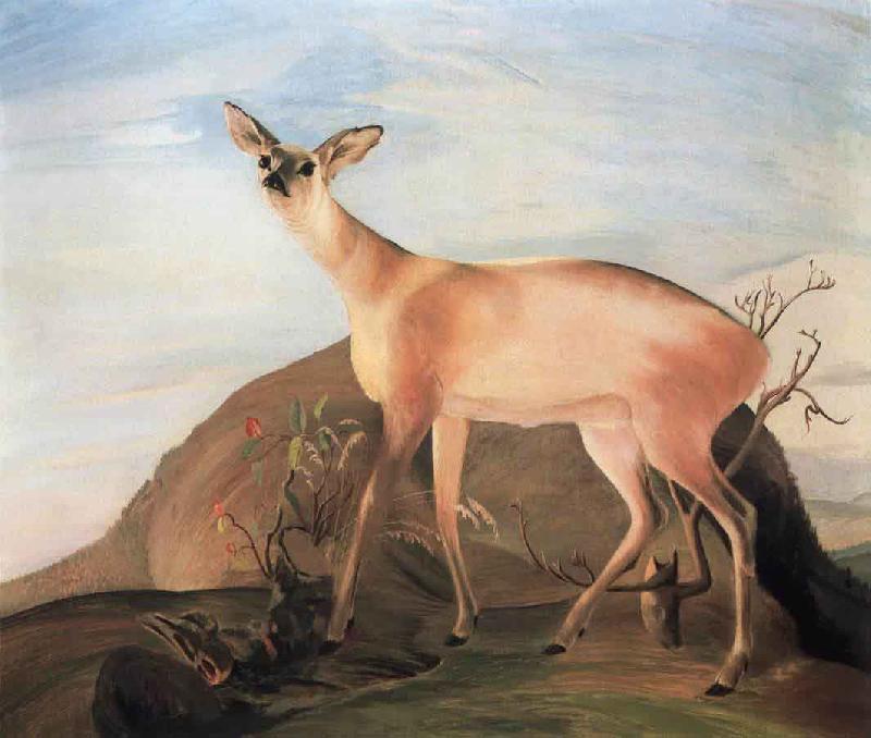 Kosztka, Tivadar Csontvry Deer France oil painting art